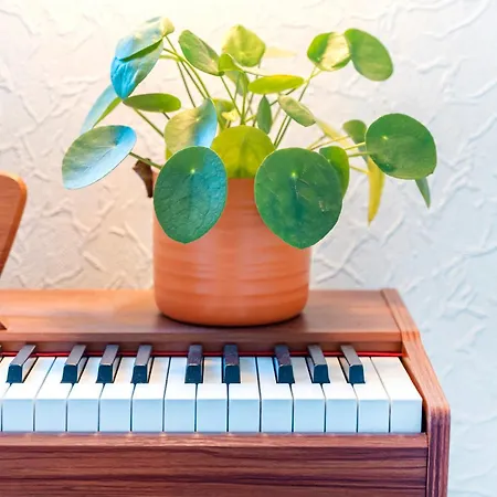 Mignon, Plein Centre 公寓 比亚里茨